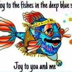 Meet your Posher, Summer